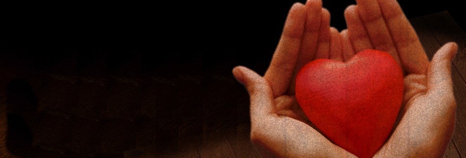 Heart and Hands Website Banner